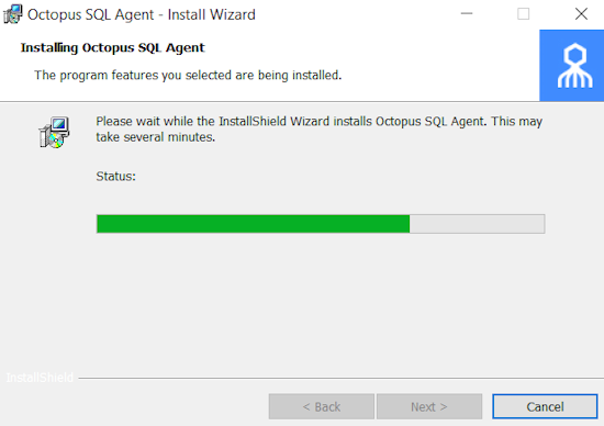Wizard_Installing.png